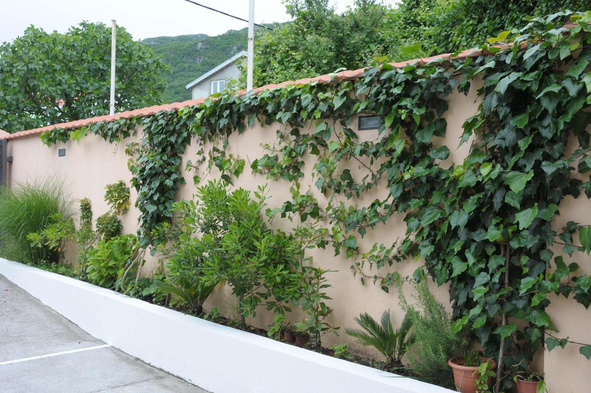 Apartments Royal Budva Exterior photo
